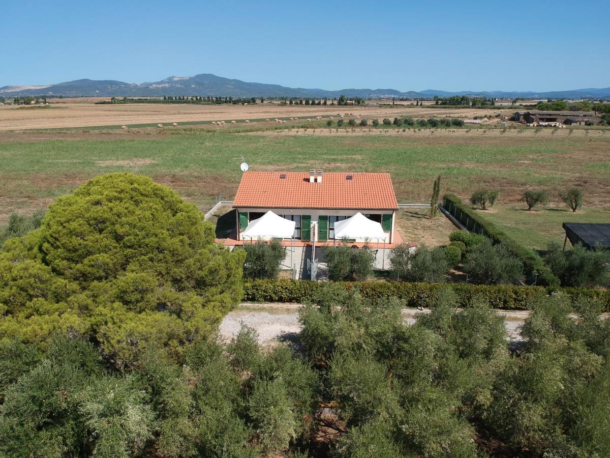 Agriturismo Olivomare Piombino Extérieur photo