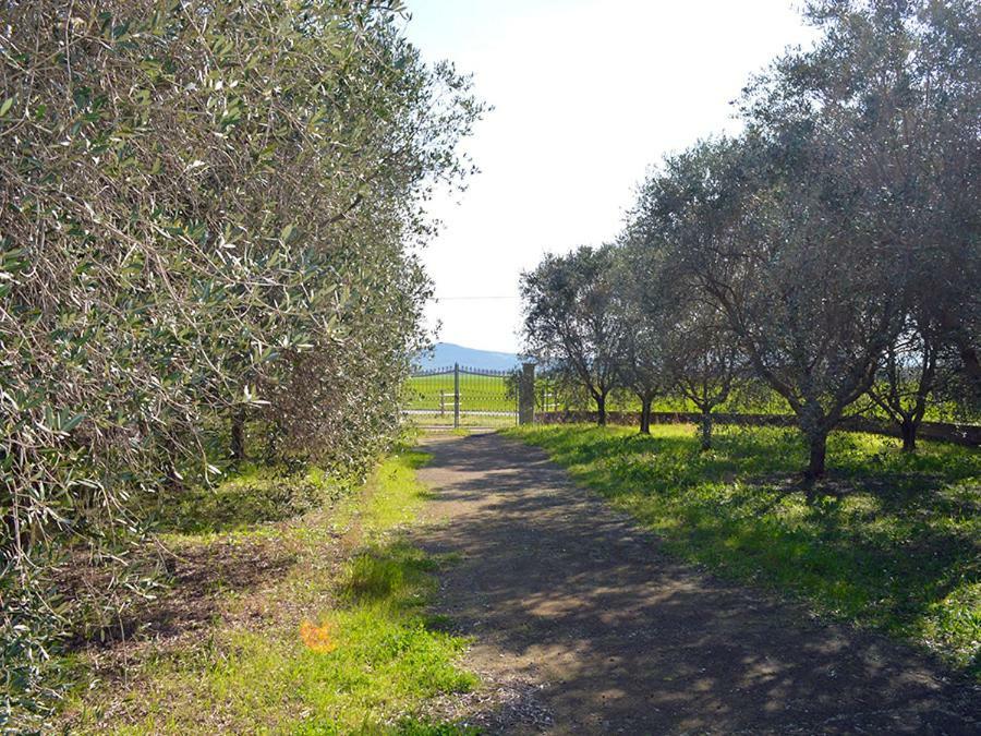 Agriturismo Olivomare Piombino Extérieur photo